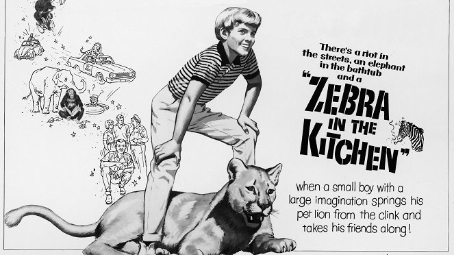 Zebra in the Kitchen - Posters