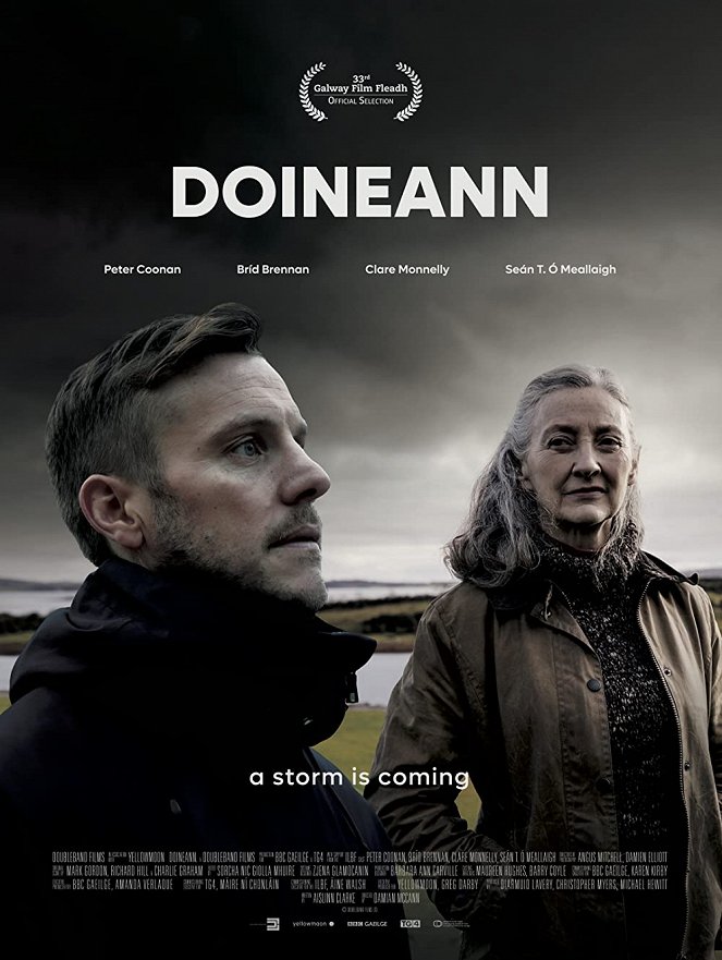 Doineann - Plagáty