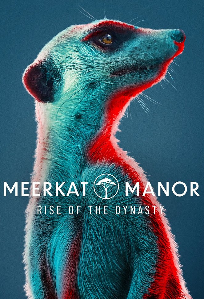 Meerkat Manor: Rise of the Dynasty - Carteles