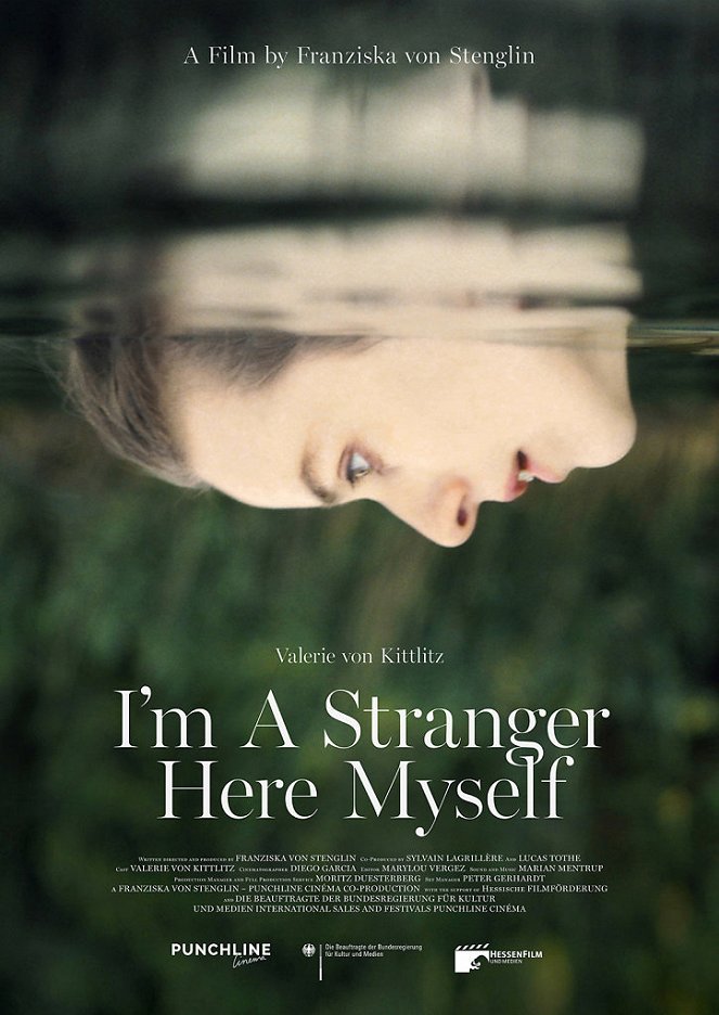 I'm a Stranger Here Myself - Carteles