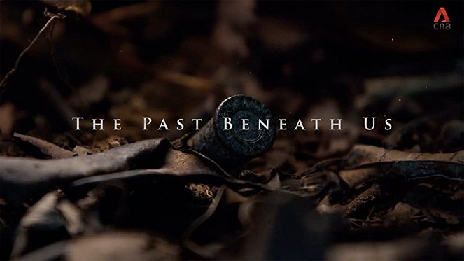 The Past Beneath Us - Affiches