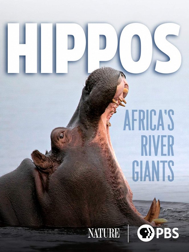 The Natural World - Hippos: Africa's River Giants - Posters