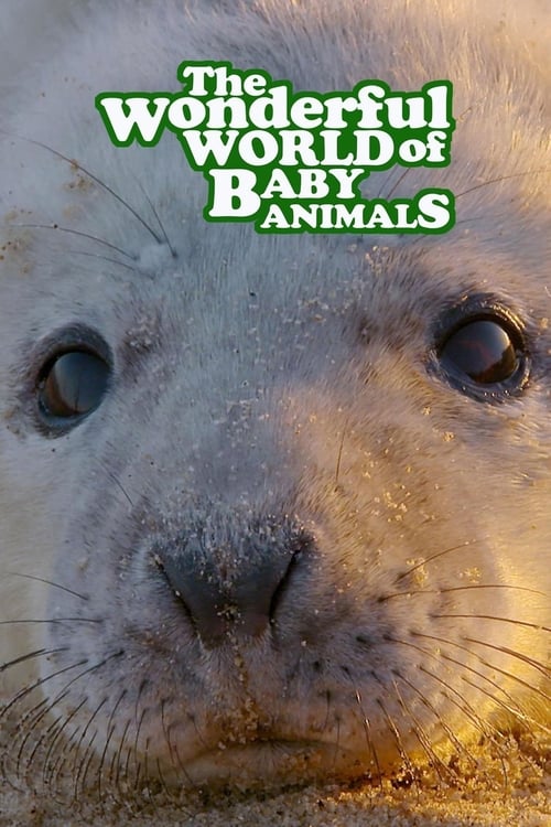 Az állatkölykök csodás élete - Plakátok