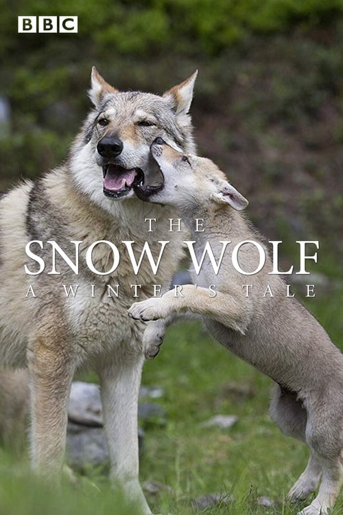 The Snow Wolf: A Winter's Tale - Affiches