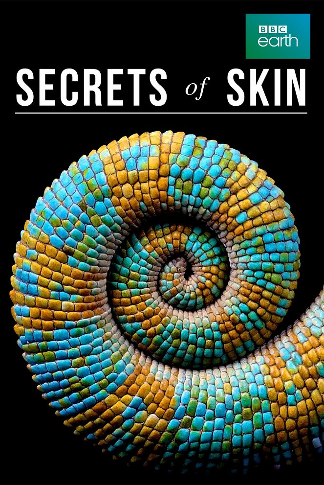 Secrets of Skin - Carteles