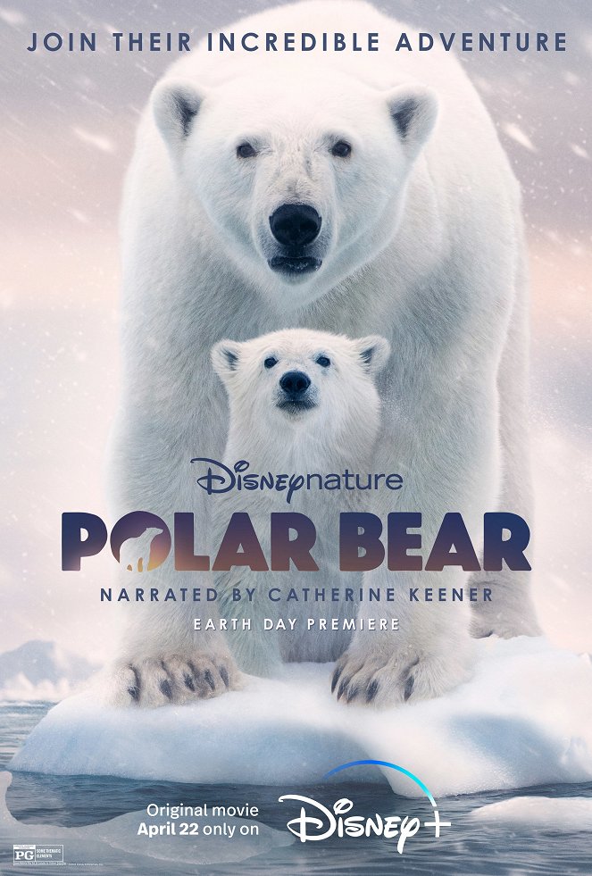 Život polárneho medveďa - Plagáty