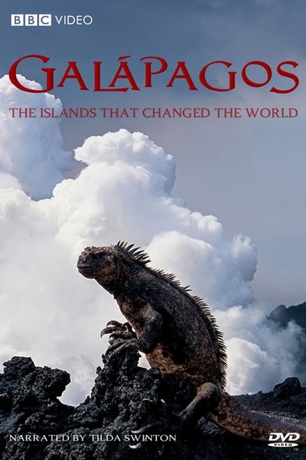 Galapagos - Plakátok