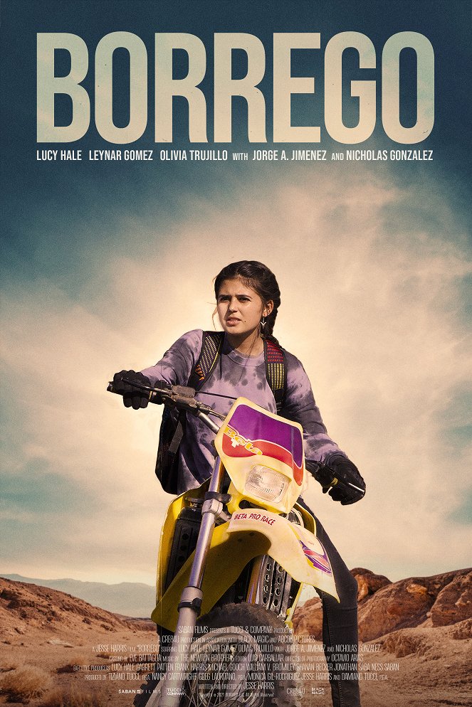 Borrego - Posters