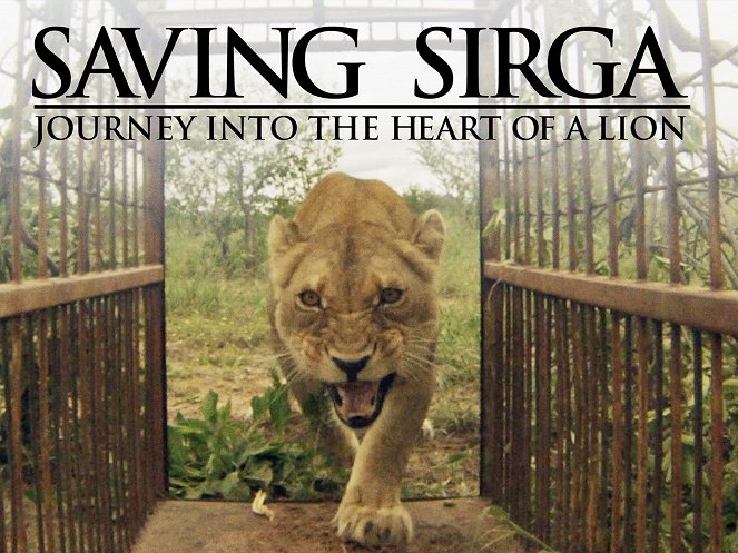 Saving Sirga: Journey into the Heart of a Lion - Carteles