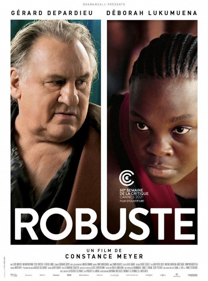 Robust - Posters