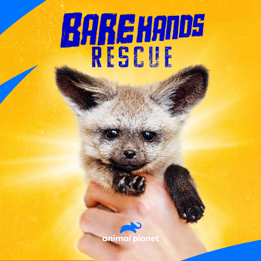Bare Hands Rescue - Plakáty