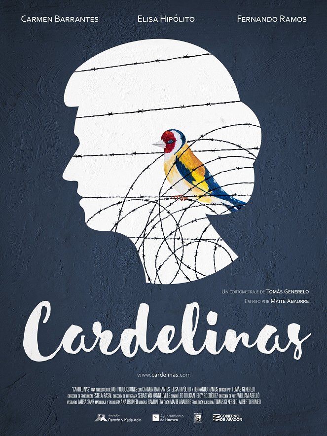 Cardelinas - Posters