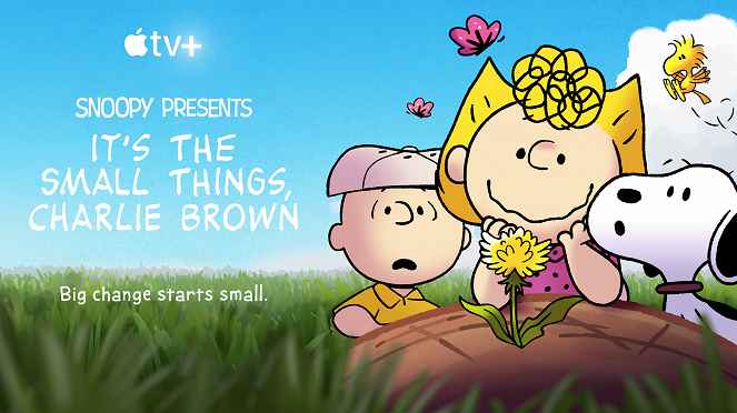 It's the Small Things, Charlie Brown - Posters