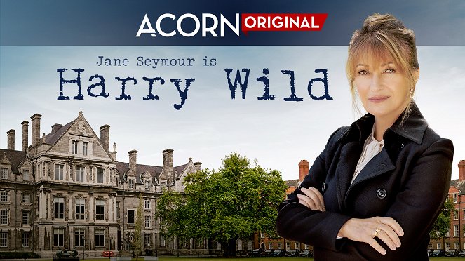 Harry Wild - Harry Wild - Season 1 - Plakaty