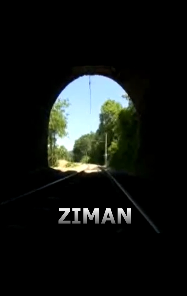 Ziman - Affiches