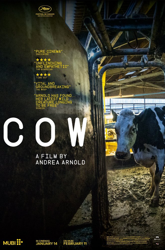 Cow - Plakátok