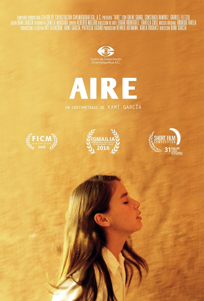 Aire - Julisteet