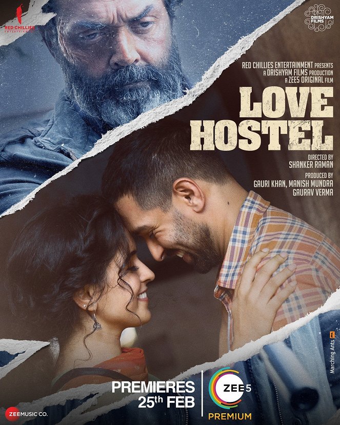 Love Hostel - Plakate