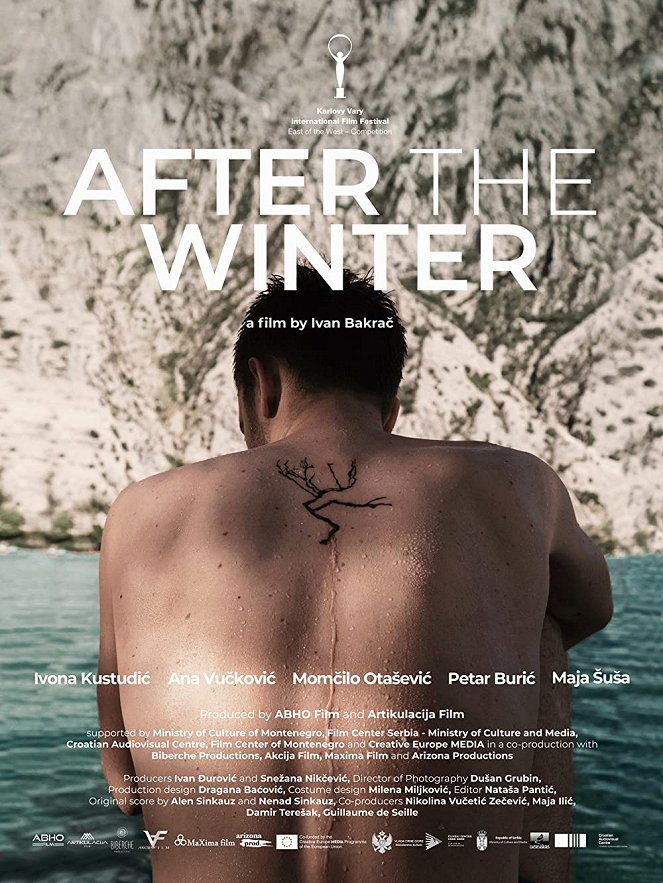 After the Winter - Posters