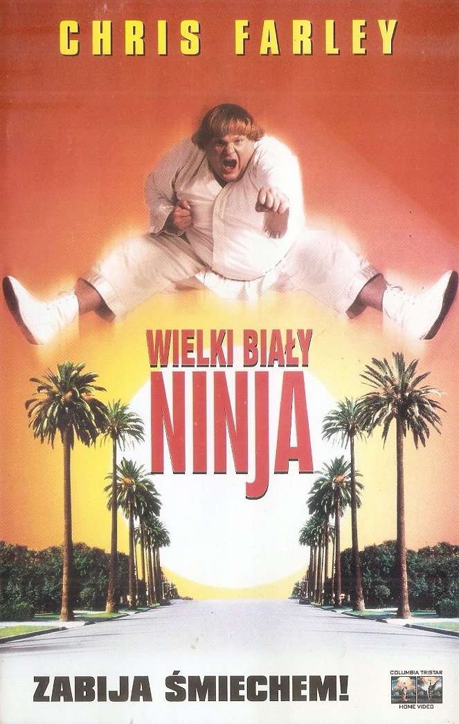 Wielki biały ninja - Plakaty