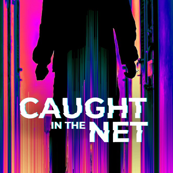 Caught in the Net - Posters
