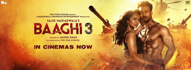 Baaghi 3 - Affiches
