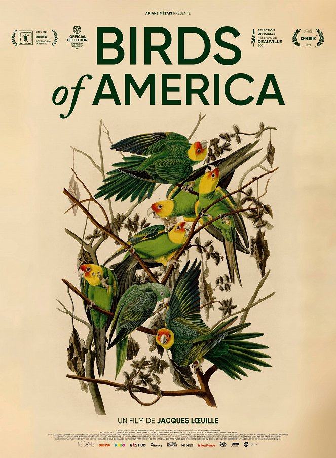 Birds of America - Plakate