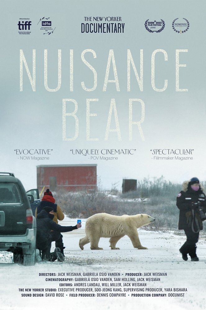 Nuisance Bear - Affiches