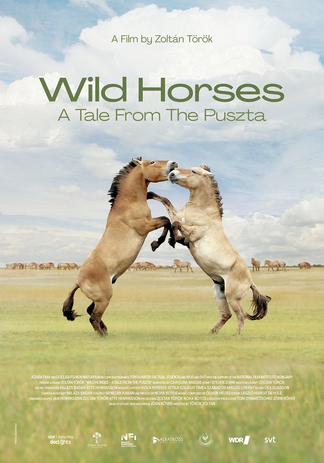 Divocí koně – Příběh z pusty - Plakáty
