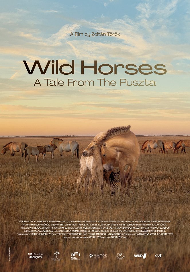 Sauvages chevaux de la Puszta : Au cœur des steppes hongroises - Affiches