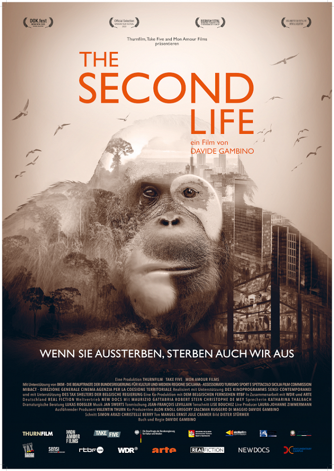 The Second Life - Das zweite Leben - Julisteet