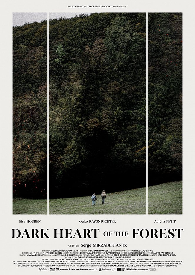 Le Coeur noir des forêts - Julisteet