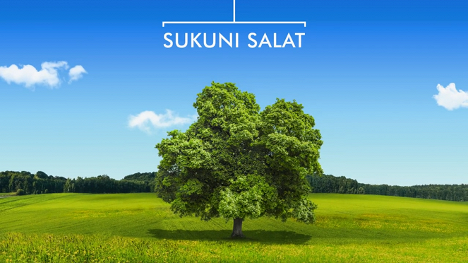 Sukuni salat - Plakaty