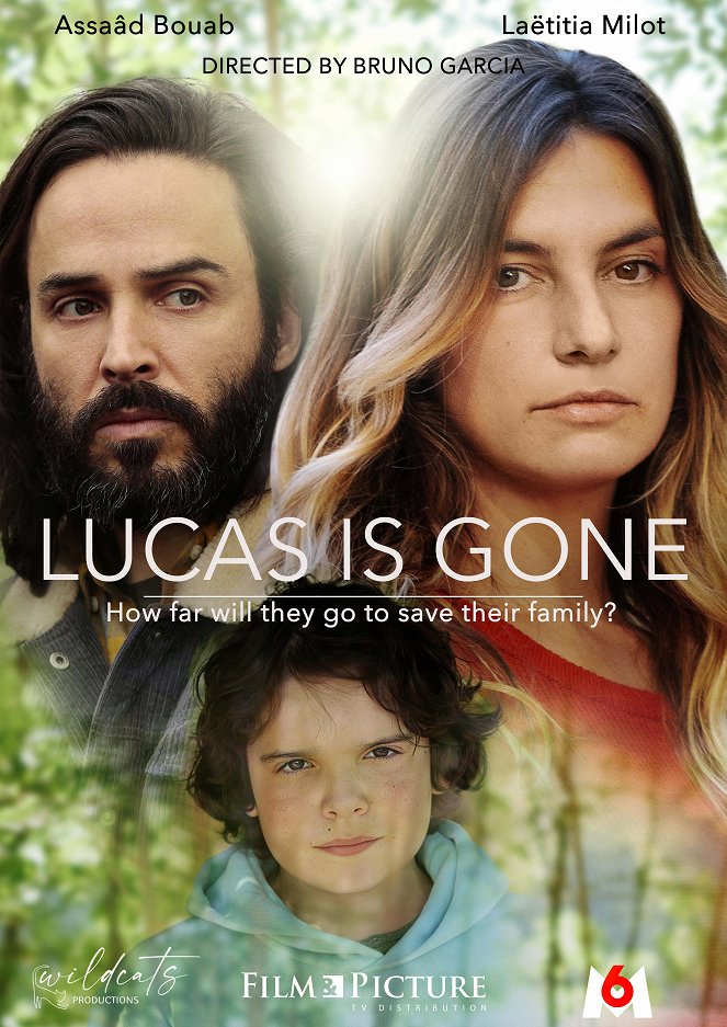 Lucas is Gone - Posters