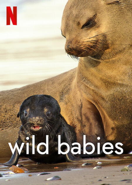 Wild Babies : Petits et sauvages - Affiches