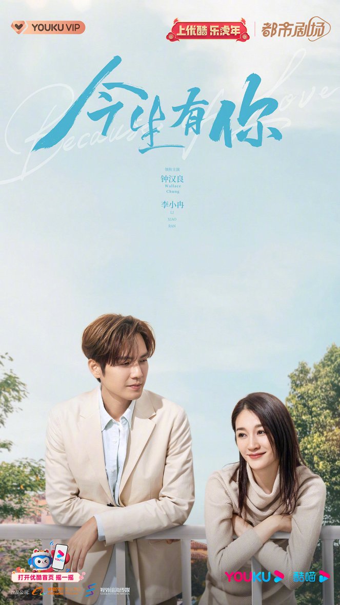 Because of Love - Posters
