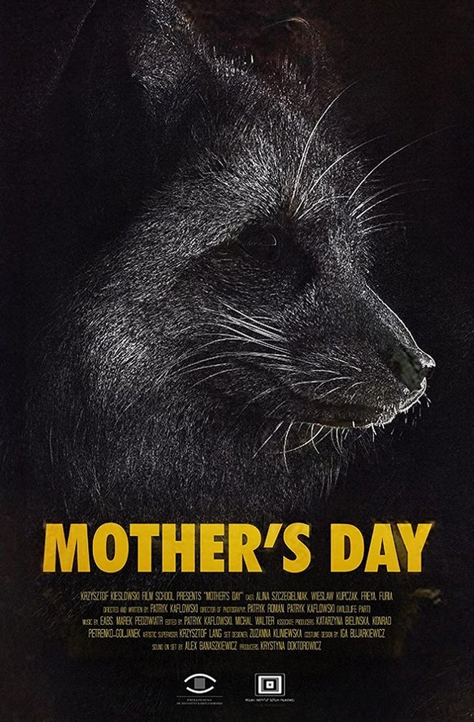 Dzień matki - Plakátok