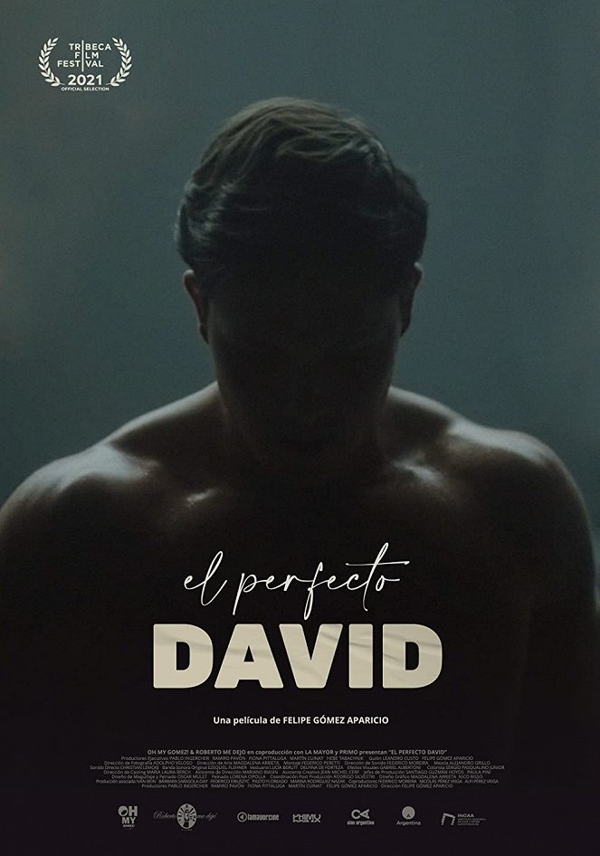 El perfecto David - Cartazes