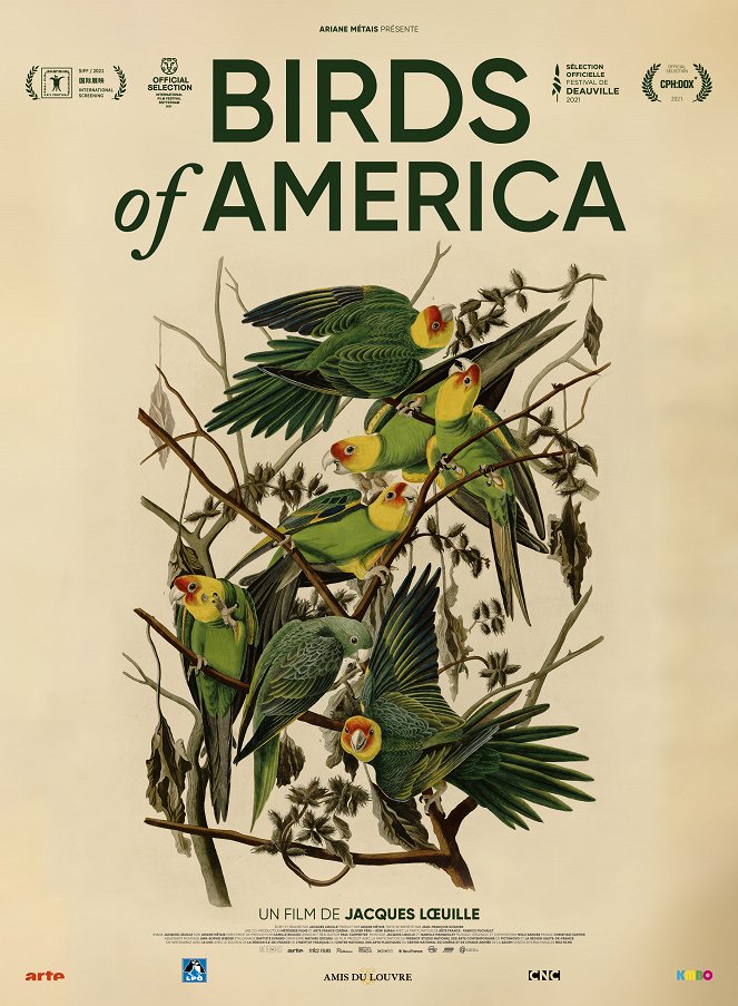 Ptáci Ameriky - Plakáty
