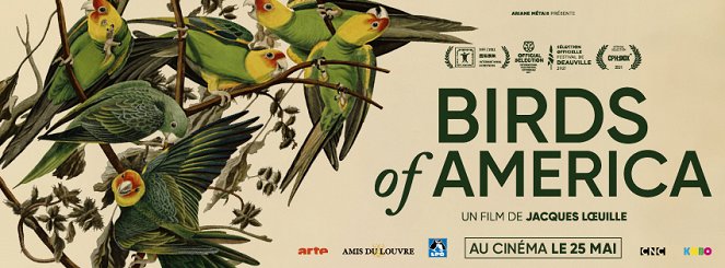 Birds of America - Cartazes