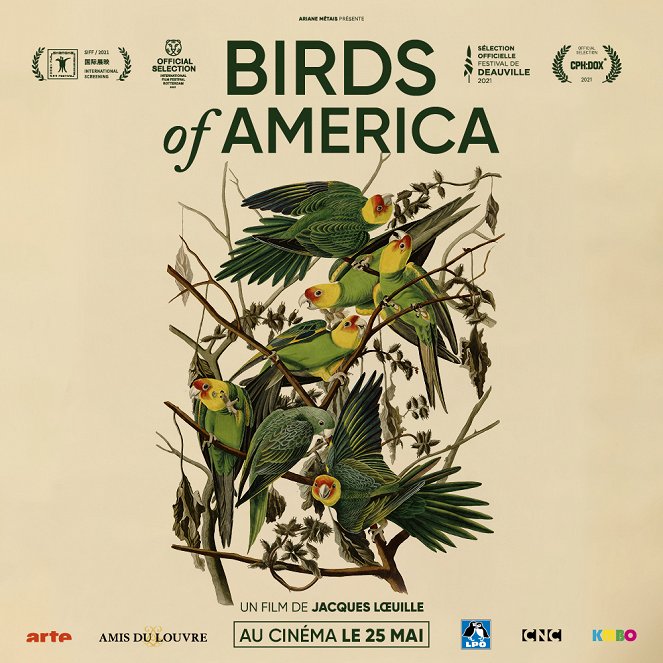 Birds of America - Cartazes