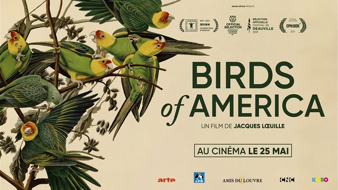 Ptáci Ameriky - Plakáty