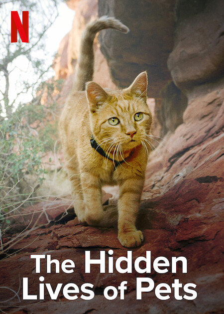 The Hidden Lives of Pets - Posters