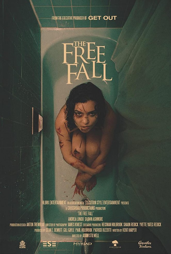 The Free Fall - Plakátok