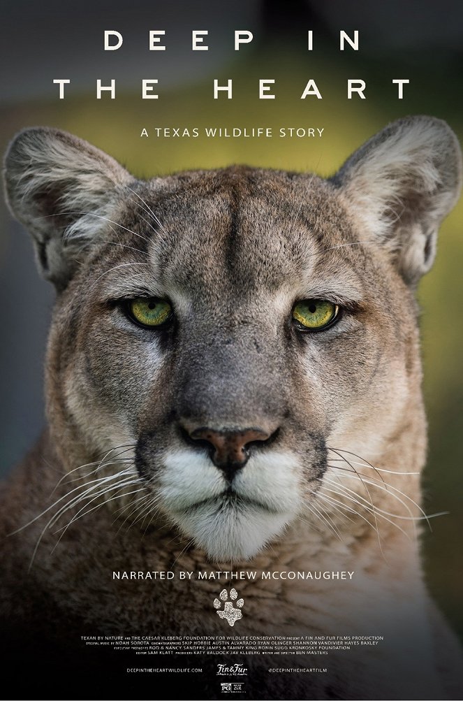 Deep in the Heart: A Texas Wildlife Story - Posters