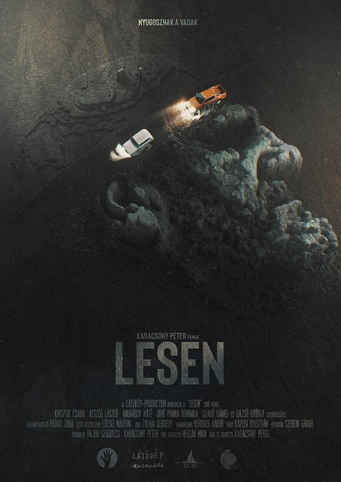 Lesen - Affiches