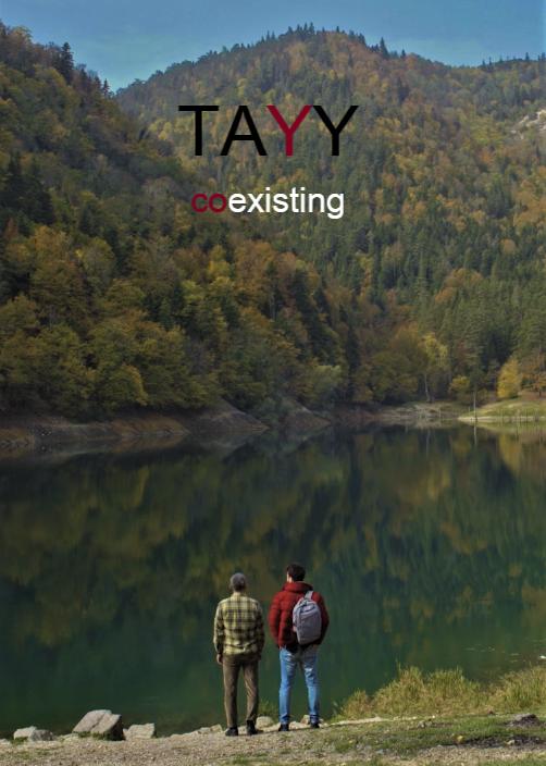 TAYY - Plakaty