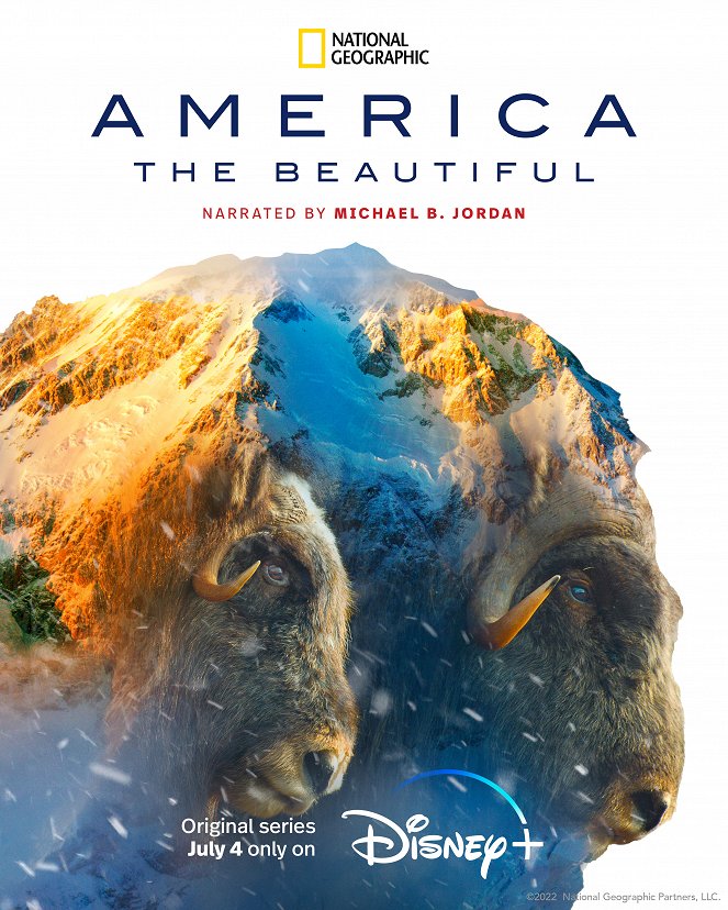 America the Beautiful - Affiches