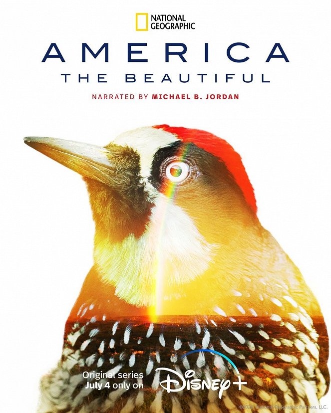 Gyönyörű Amerika - Plakátok