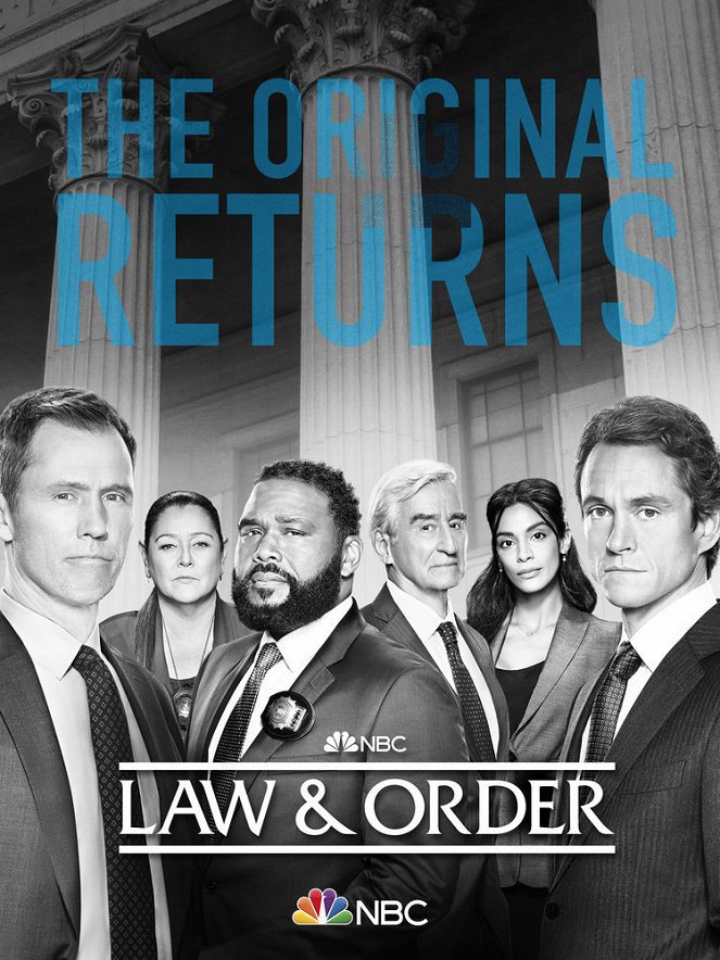Ley y orden - La ley y el orden - Season 21 - Carteles